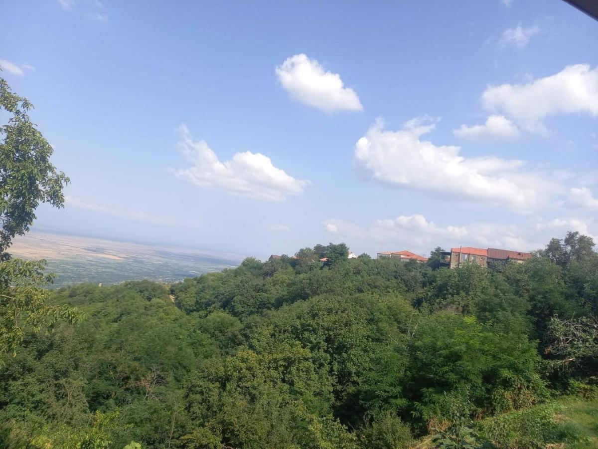 Tyupebi Hotel Sighnaghi Exterior photo