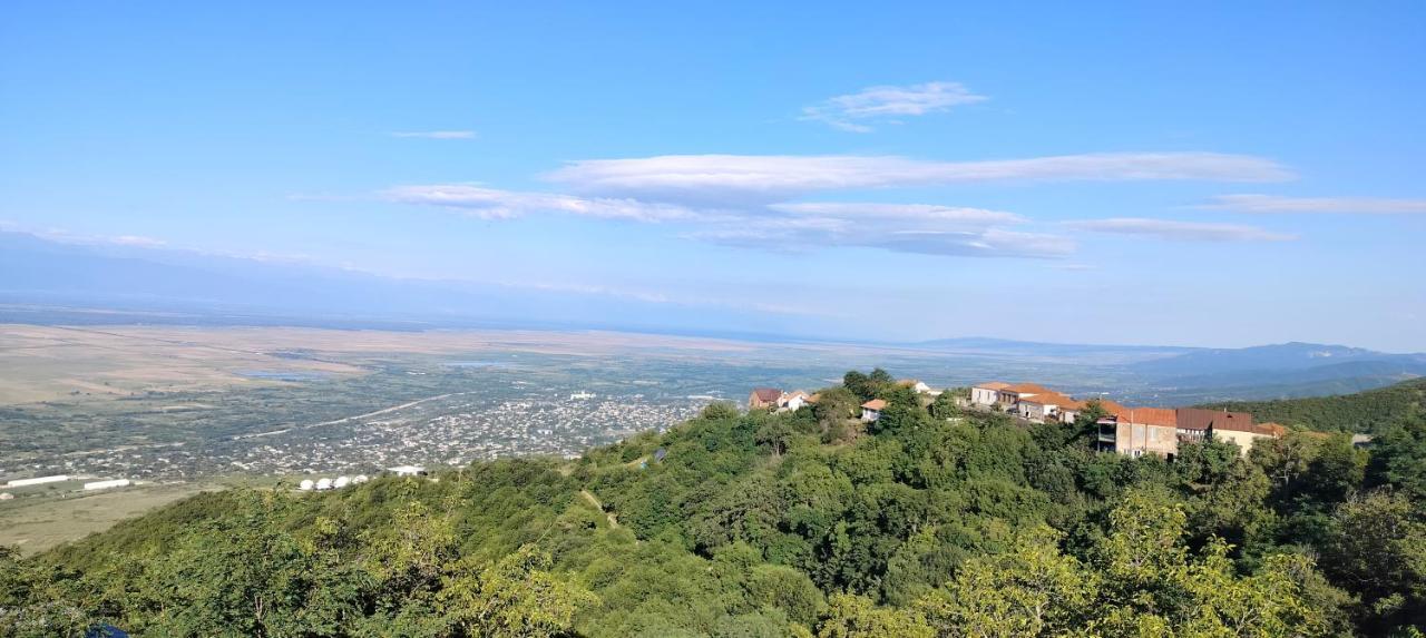 Tyupebi Hotel Sighnaghi Exterior photo